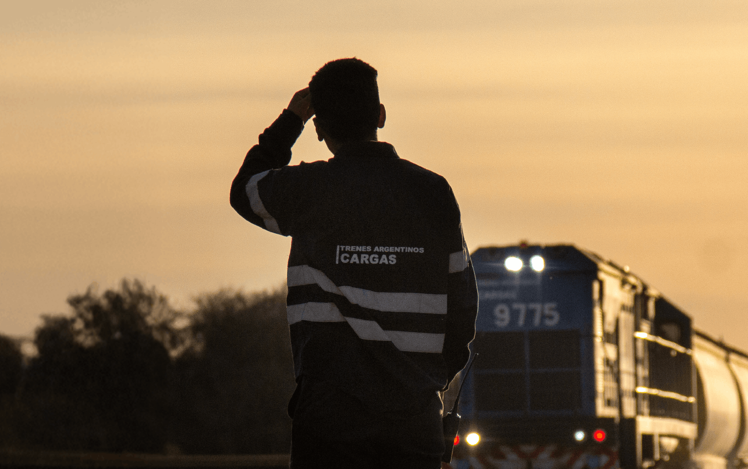 Trenes Argentinos Cargas